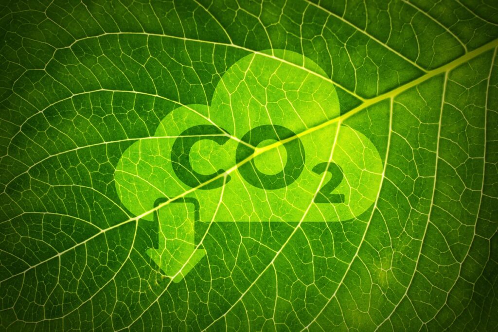 Product Carbon Footprint