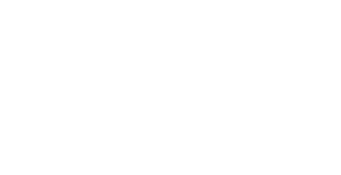 Leroy Foods logo
